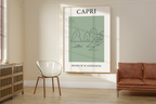 Capri Minimalist City & Travel Print